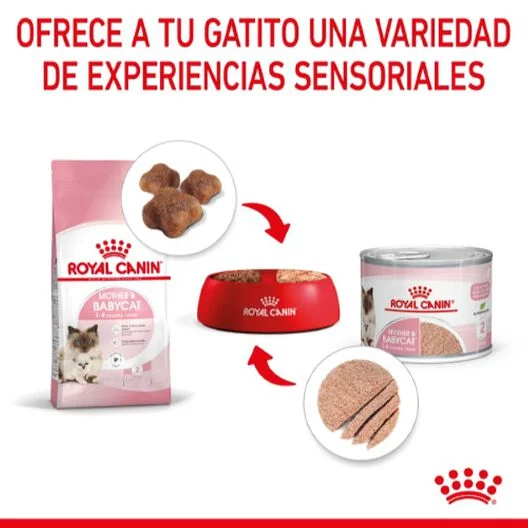 Royal Canin Mother & Babycat 195 gr (Lata Mousse ultra suave)