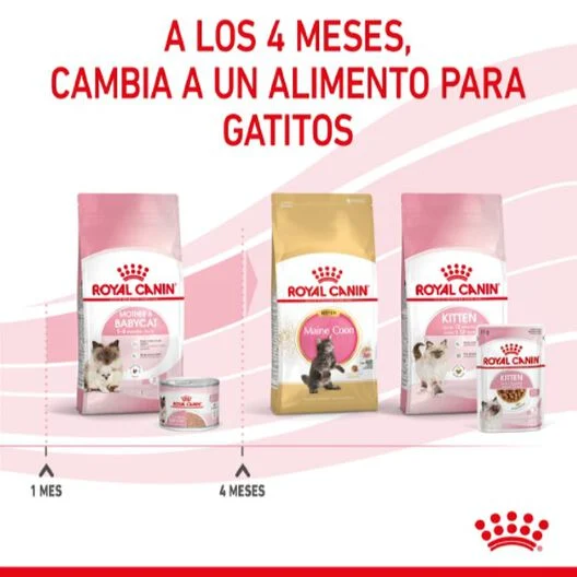 Royal Canin Mother & Babycat 195 gr (Lata Mousse ultra suave)