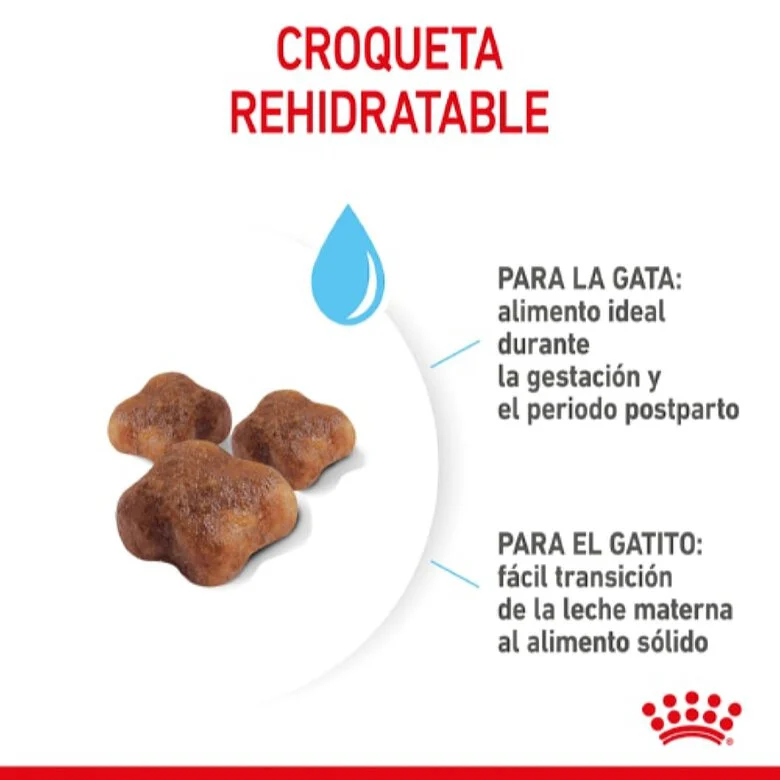 Royal Canin Mother & Babycat