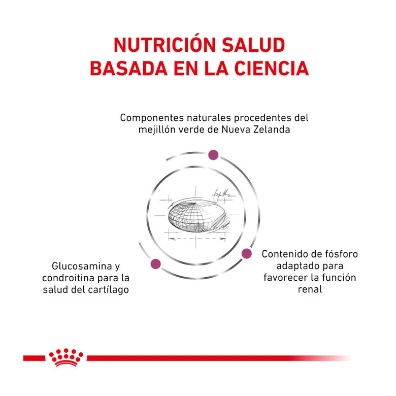 Royal Canin Veterinary Mobility Cat