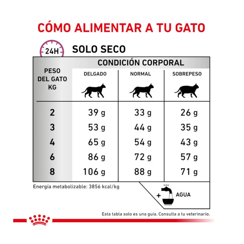 Royal Canin Veterinary Mobility Cat
