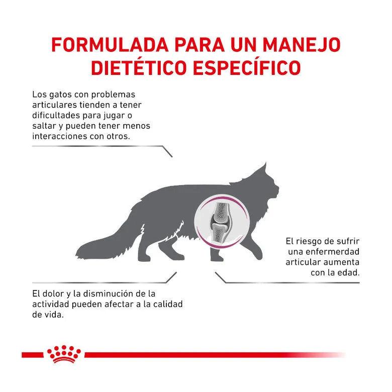Royal Canin Veterinary Mobility Cat