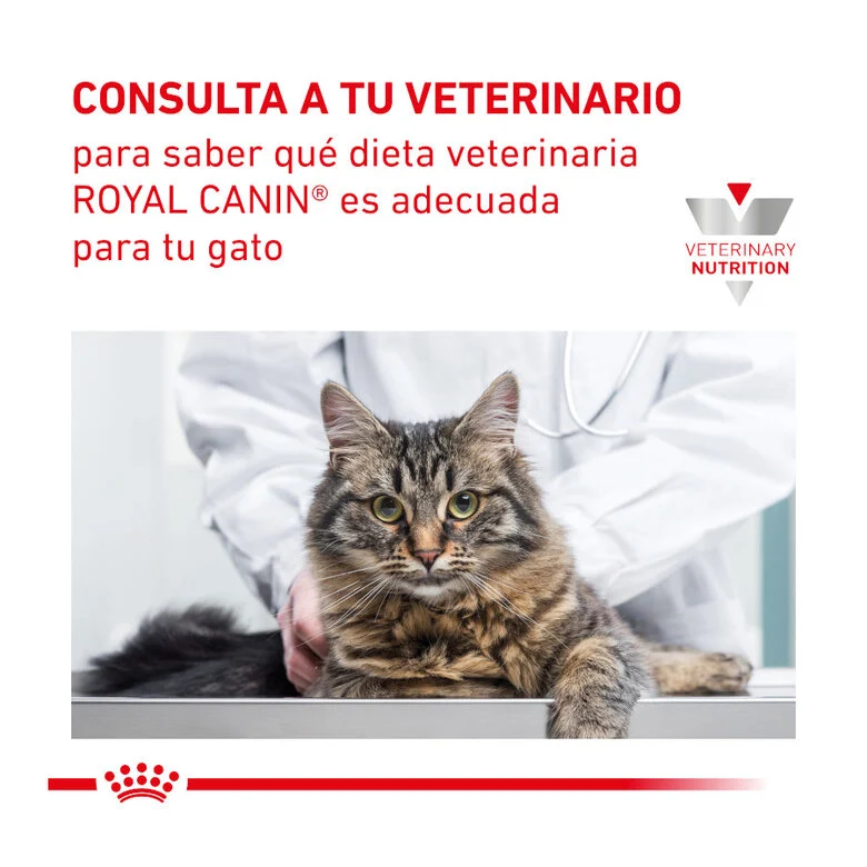 Royal Canin Veterinary Mobility Cat