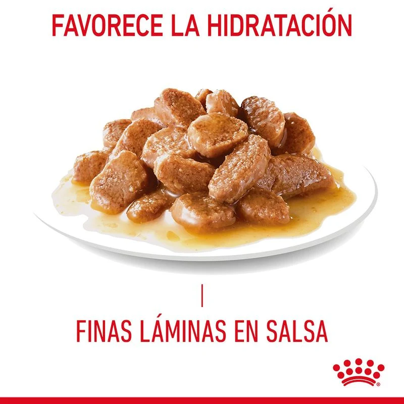 Royal Canin Adult Light Weight Care 85 Gr (Salsa)