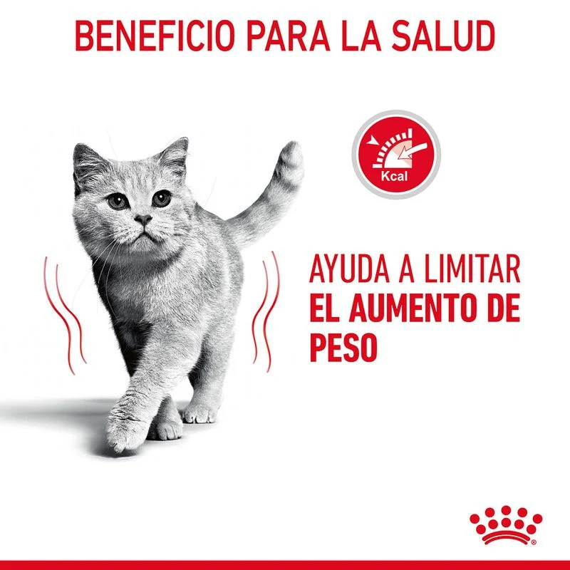 Royal Canin Adult Light Weight Care 85 Gr (Salsa)