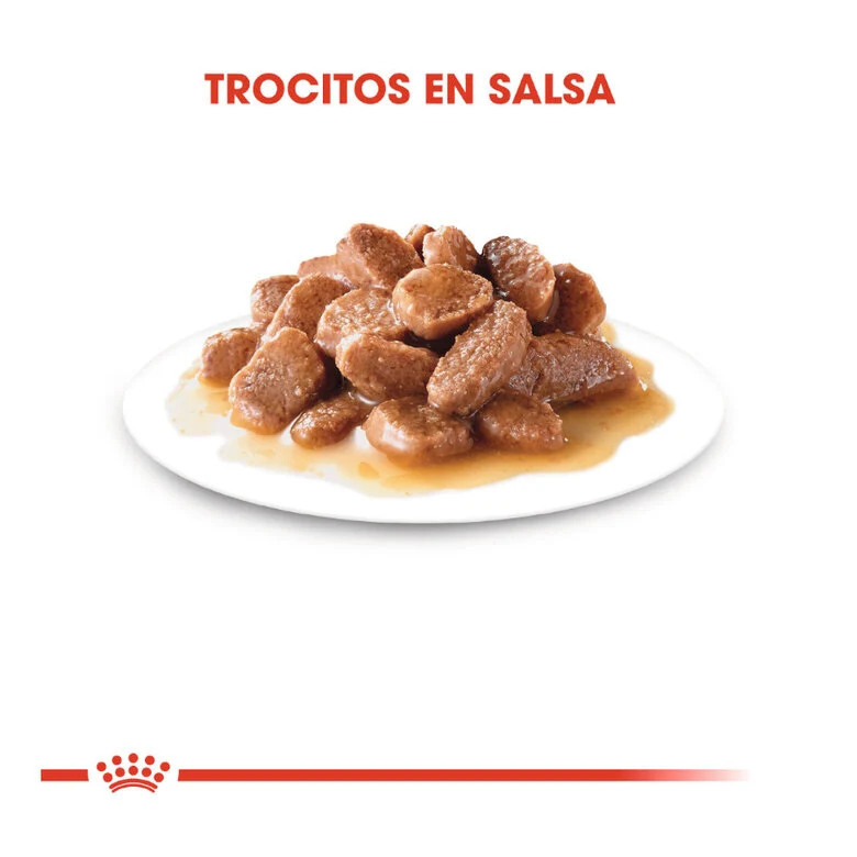Royal Canin Instinctive 85 Gr (Salsa)