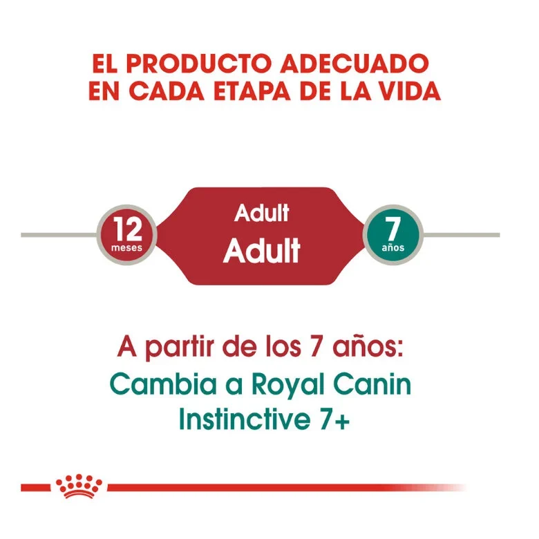 Royal Canin Instinctive 85 Gr (Salsa)