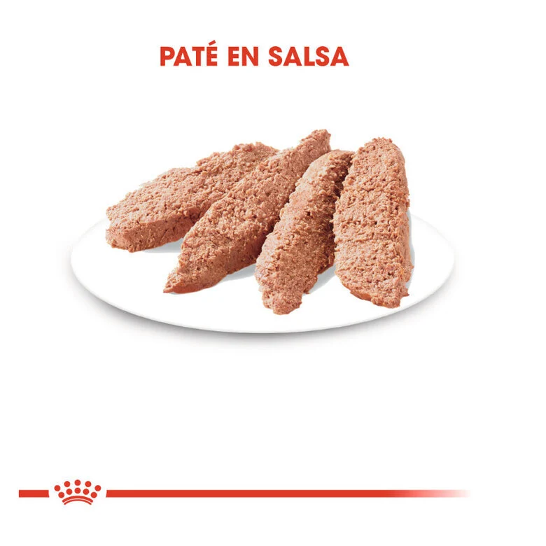 Royal Canin Instinctive 85 Gr (Paté)