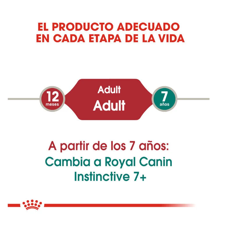 Royal Canin Instinctive 85 Gr (Paté)