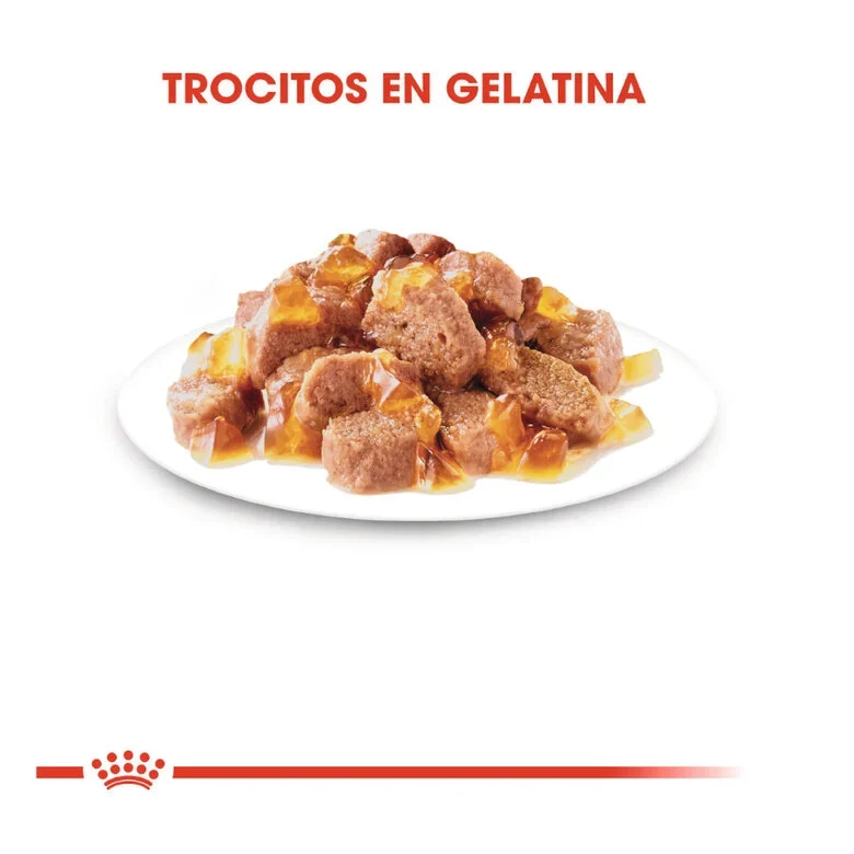 Royal Canin Instinctive 85 Gr (Gelatina)