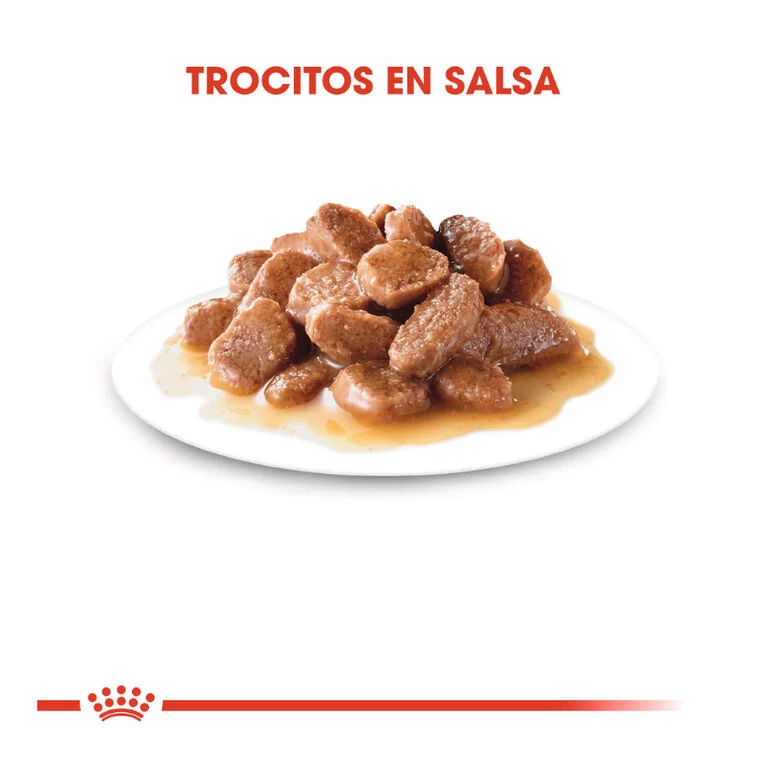 Royal Canin Senior Instinctive +7 85 gr (Salsa)