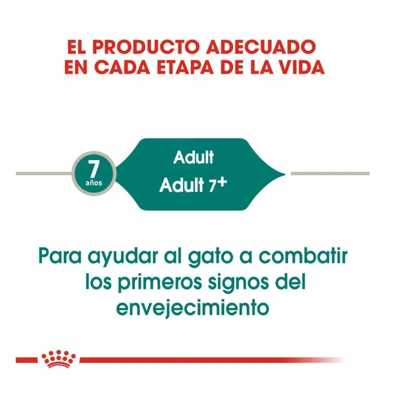 Royal Canin Senior Instinctive +7 85 gr (Salsa)