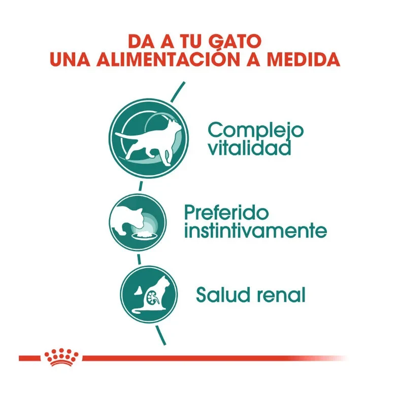 Royal Canin Senior Instinctive +7 85 gr (Salsa)