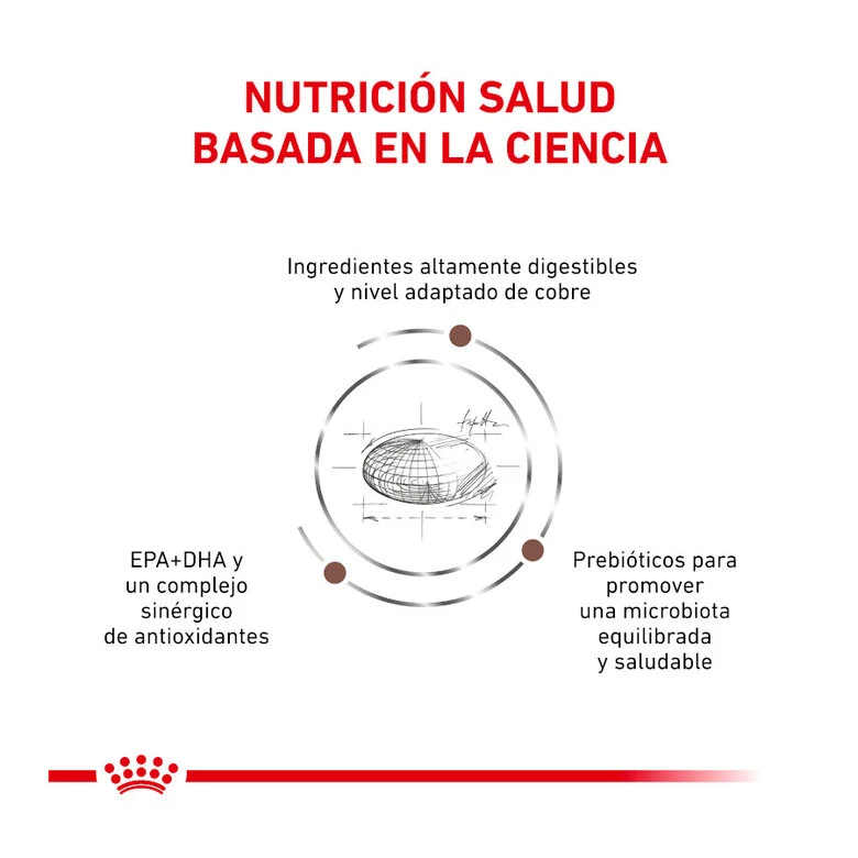 Royal Canin Veterinary Hepatic Cat