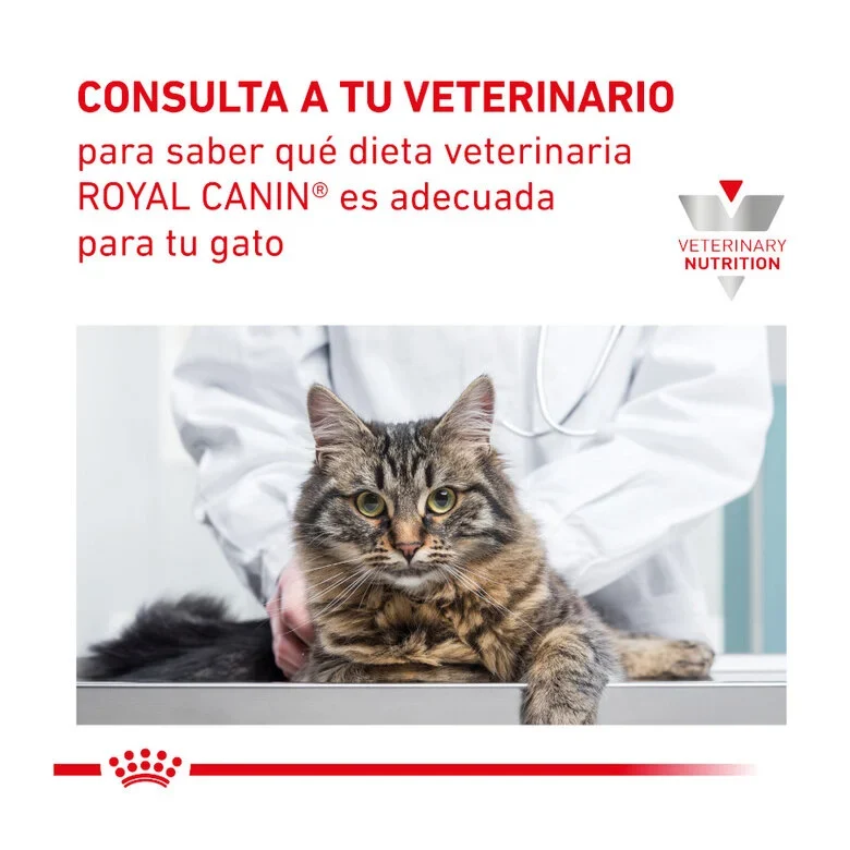 Royal Canin Veterinary Hepatic Cat