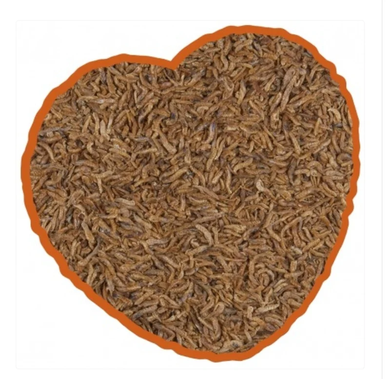 Gammarus grande 2,5 L | Duvo+