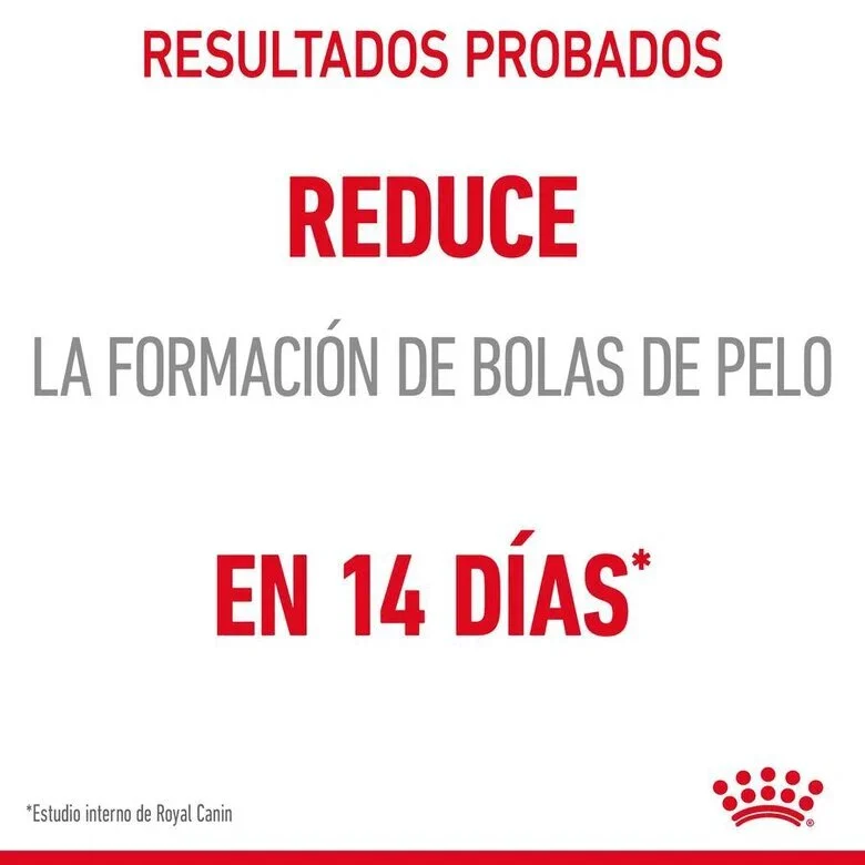 Royal Canin Adult Hairball Care 85 gr (Salsa)