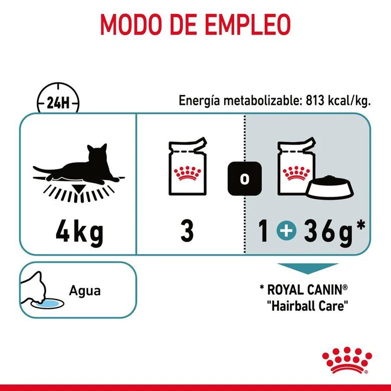 Royal Canin Adult Hairball Care