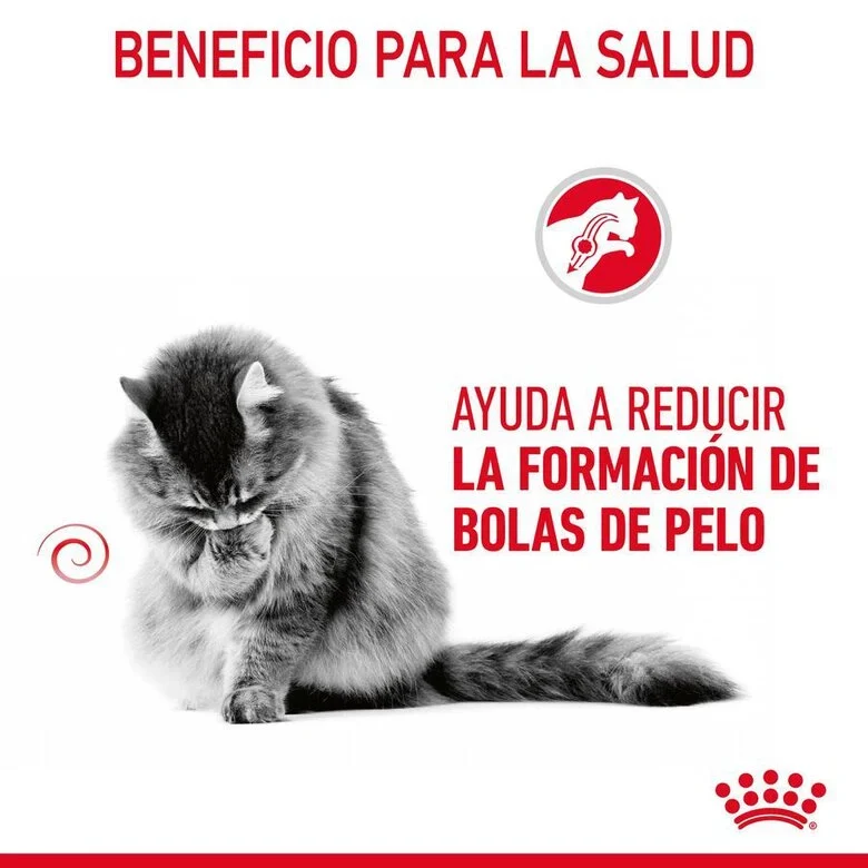 Royal Canin Adult Hairball Care