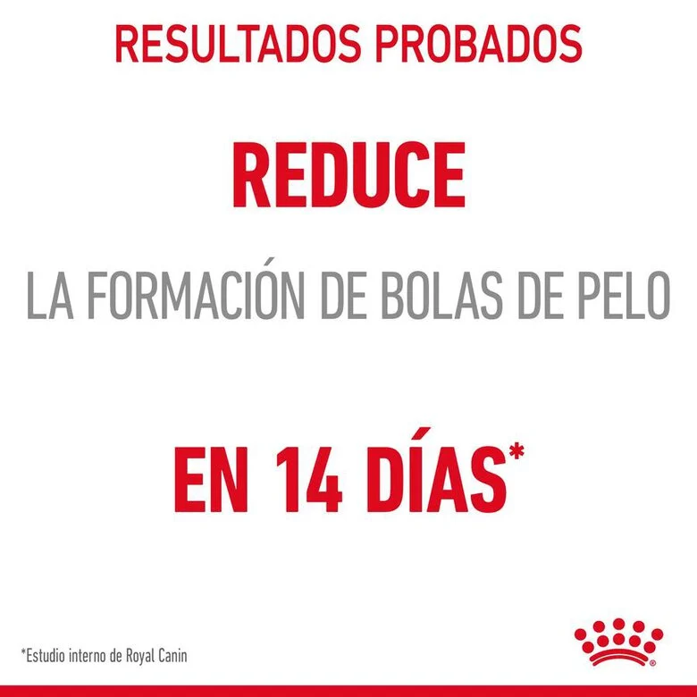 Royal Canin Adult Hairball Care