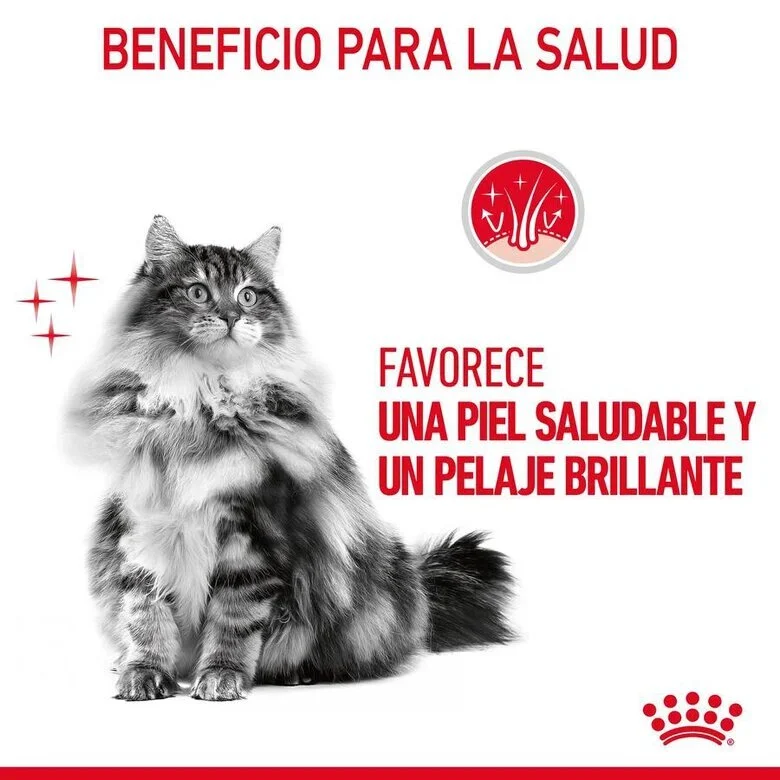 Royal Canin Hair & Skin Care 85 Gr (Sobre Salsa)