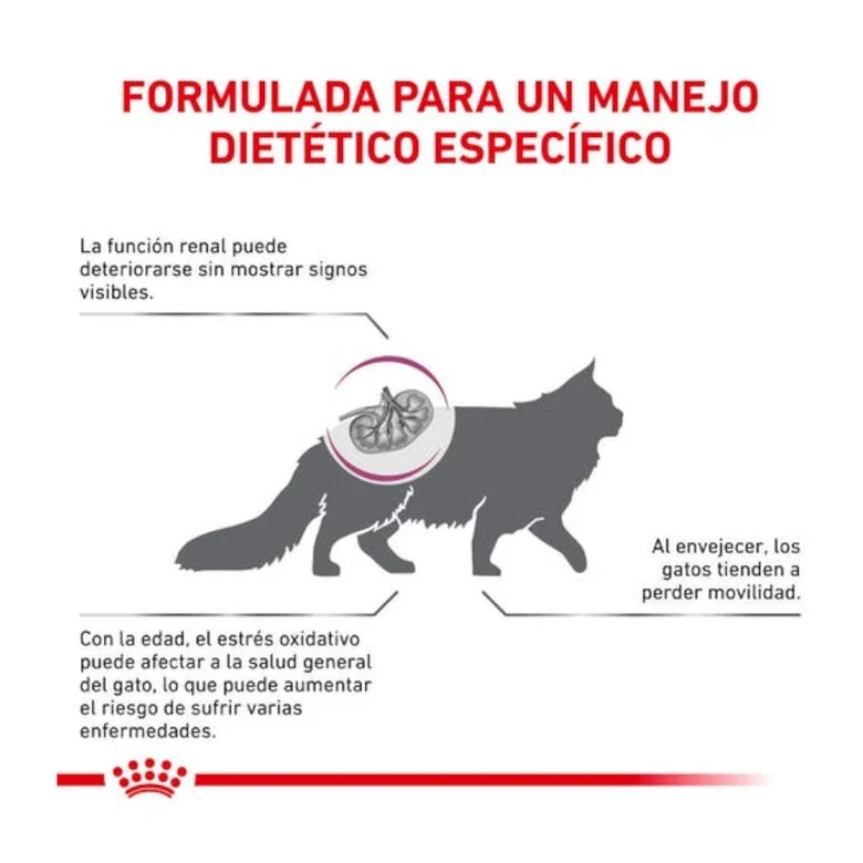 Royal Canin Veterinary Early Renal Cat