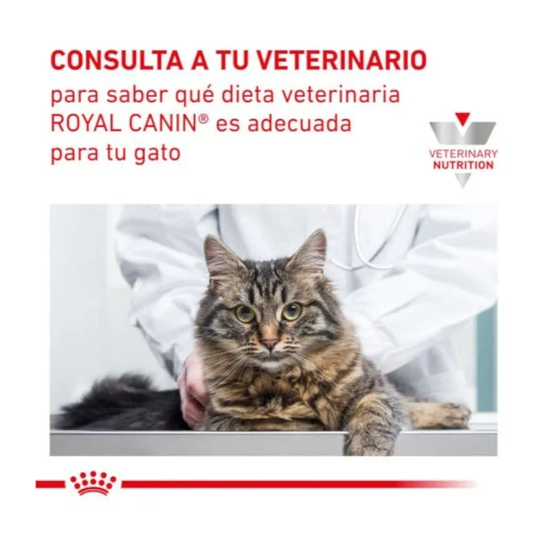 Royal Canin Veterinary Early Renal Cat