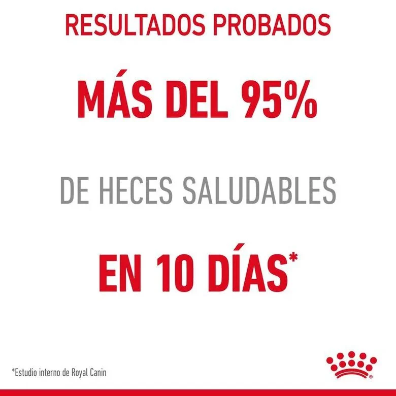 Royal Canin Digestive Sensitive Care 85 Gr (Salsa)