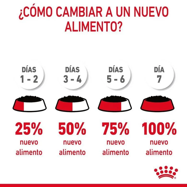 Royal Canin Digestive Sensitive Care 85 Gr (Salsa)