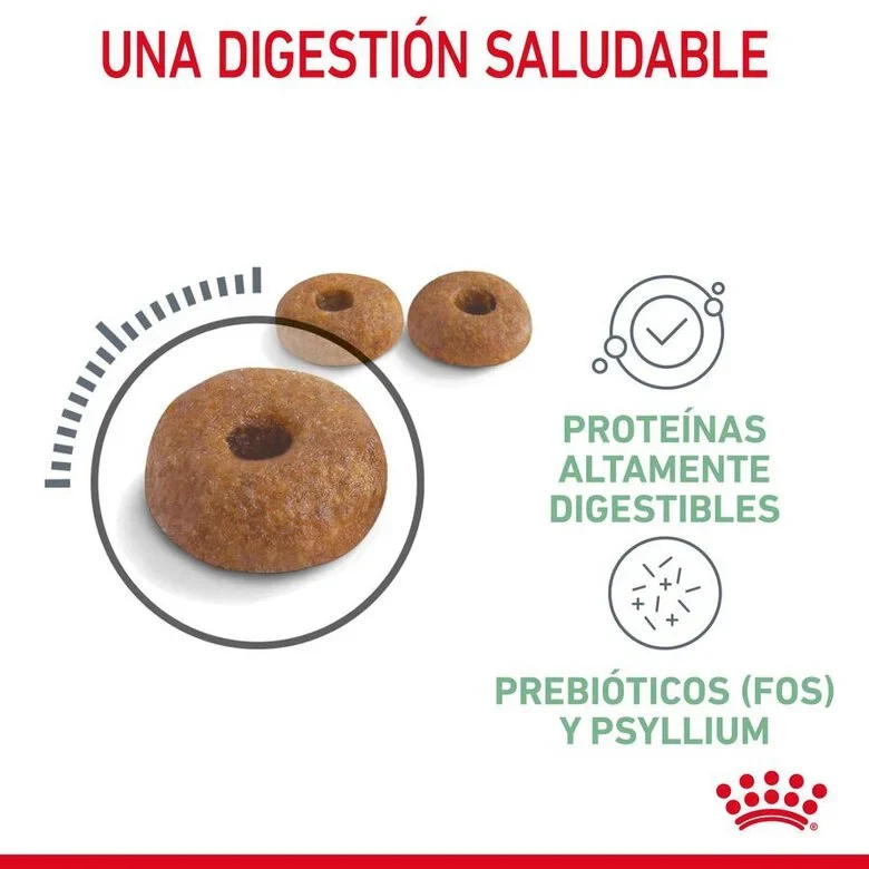 Royal Canin Adult Digestive Care