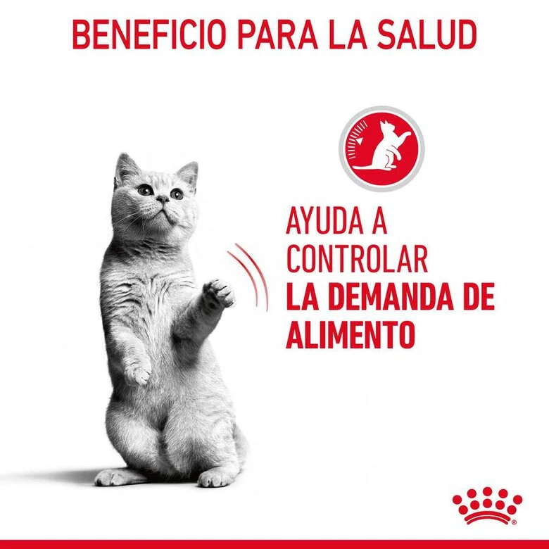 Royal Canin Appetite Control Care 85 Gr (Sobre Gelatina)