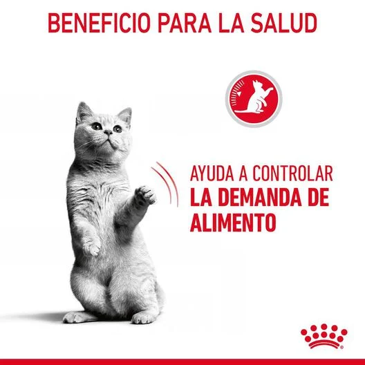Royal Canin Appetite Control Care