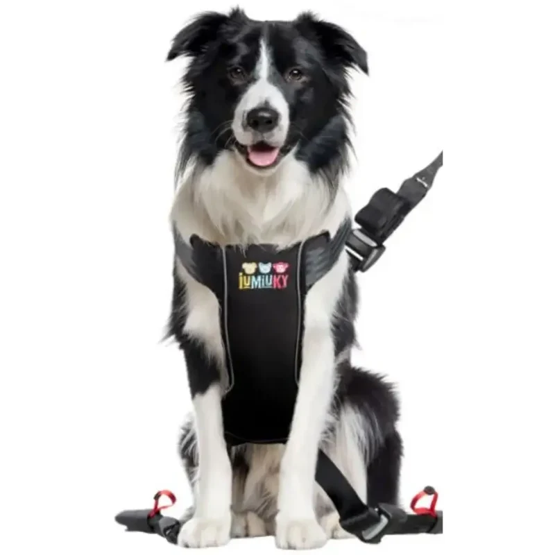 Iumiuky Travel Fix Arnés Pet Coche para Perros