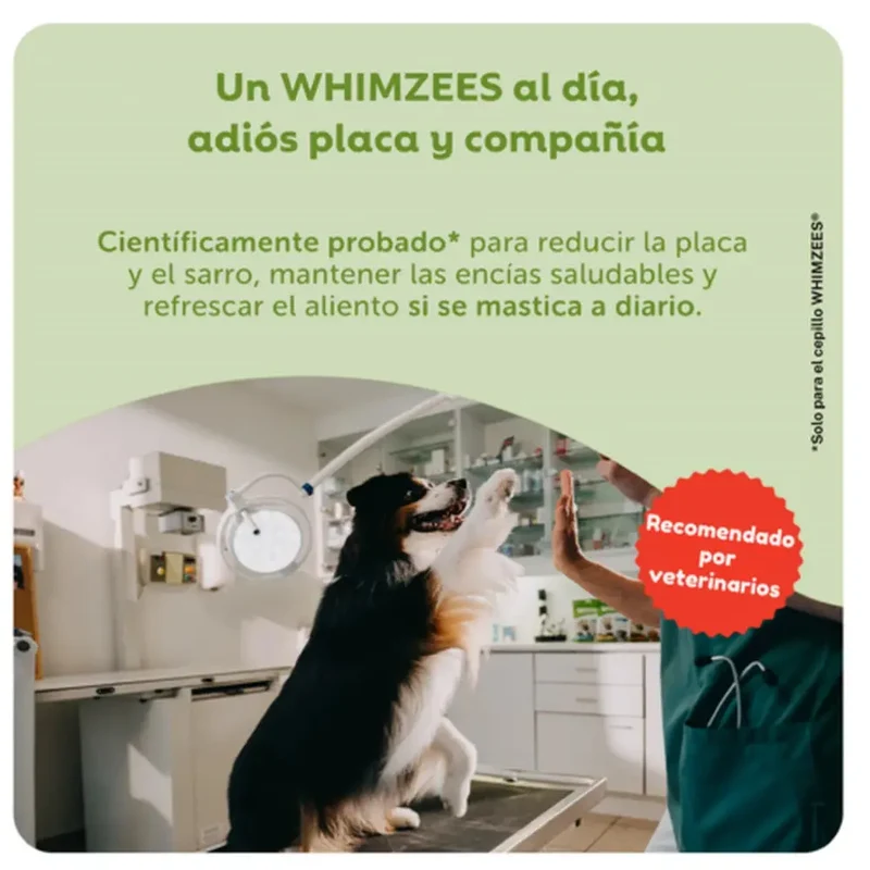 Whimzees Toothbrush Cepillo de Dientes Snack Dental para Perros