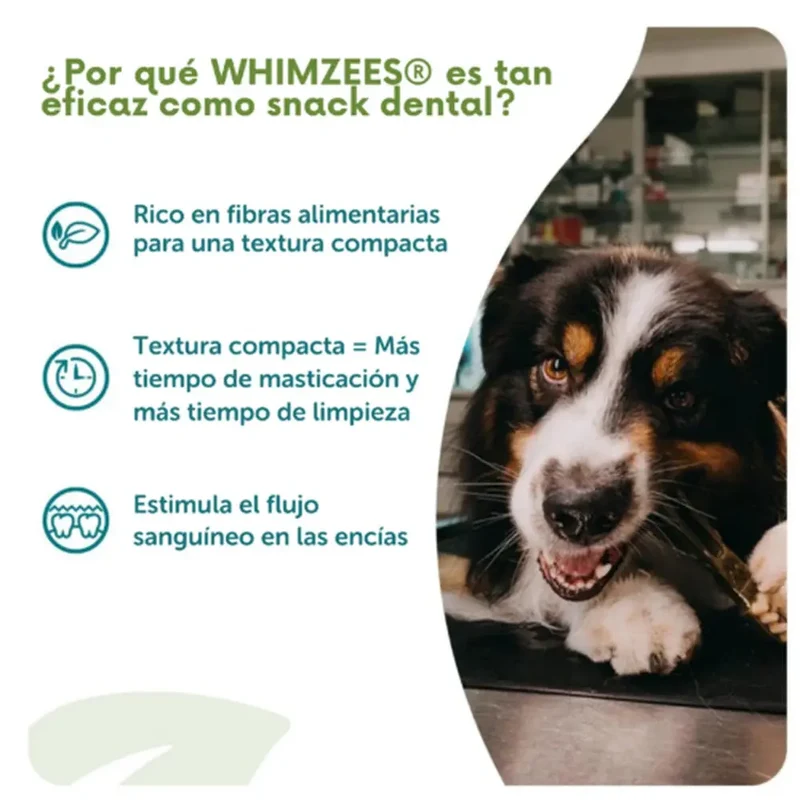 Whimzees Toothbrush Cepillo de Dientes Snack Dental para Perros