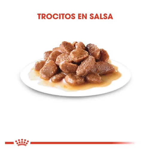 Royal Canin Senior Ageing +12 85 Gr (Sobre Salsa)