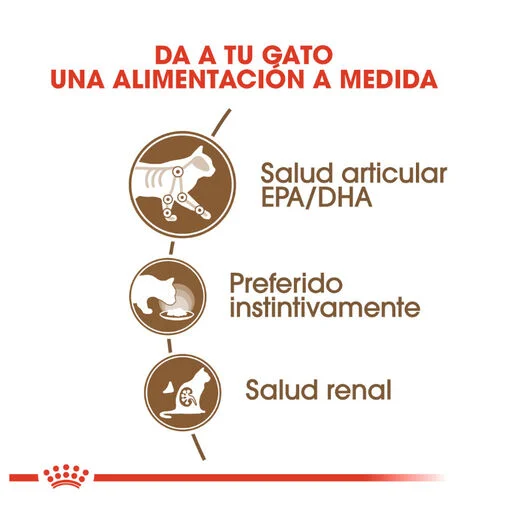 Royal Canin Senior Ageing +12 85 Gr (Sobre Salsa)