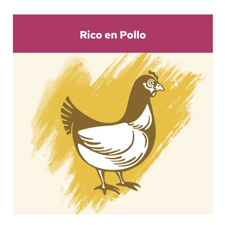 PURINA Cat Chow Adulto Urinary Tract Health Pollo