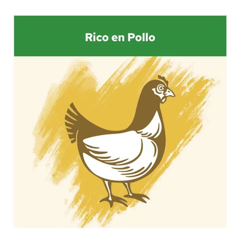 Purina Cat Chow Adulto Sterilized Pollo