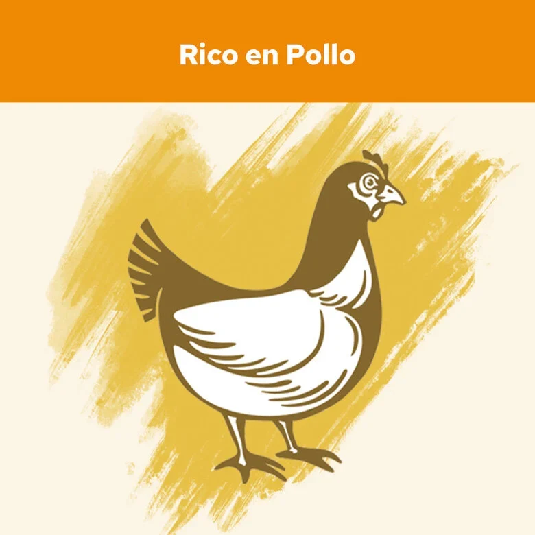 PURINA Cat Chow Adulto Pollo