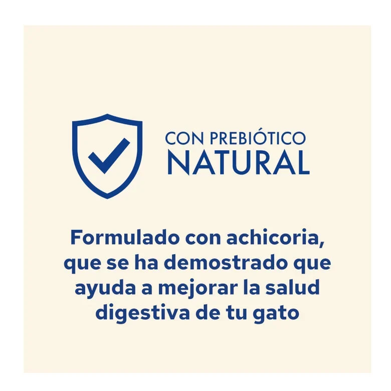 PURINA Cat Chow Adulto Salmón