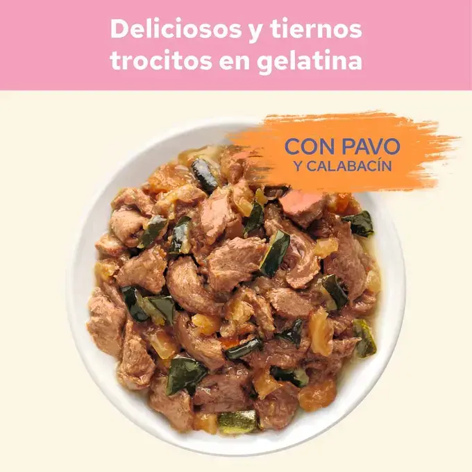 Purina Cat Chow Kitten Pavo Con Calabacín 85g