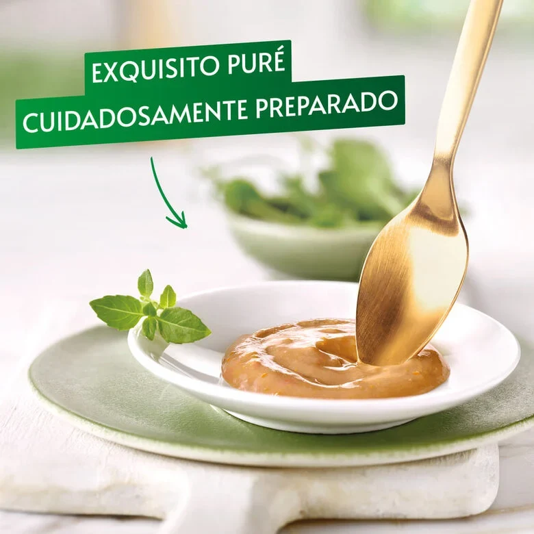 Purina Gourmet Nature’s Creations Puré Buey Con Tomate 5x10g