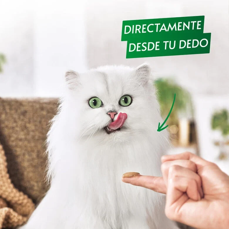 Purina Gourmet Nature’s Creations Puré Buey Con Tomate 5x10g