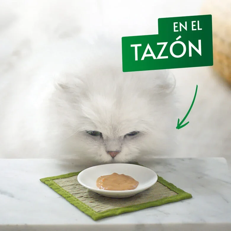 Purina Gourmet Nature’s Creations Puré Buey Con Tomate 5x10g