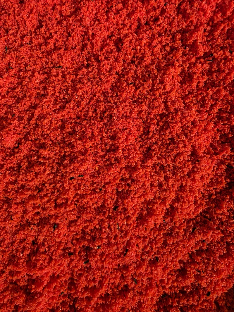 Alimento húmedo Bravo sabor huevo rojo 20 kg - Bird-X con Italia