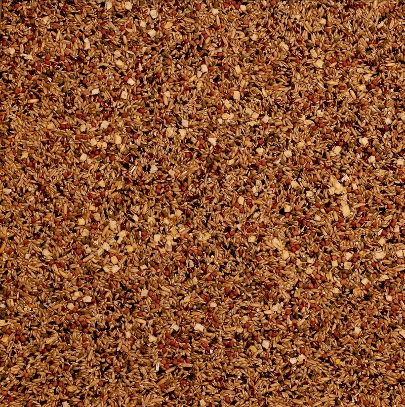 Birdelicious Canarios 2,5kg - Mezcla Completa - Mezcla para Canarios + 4 Aditivos Extra..