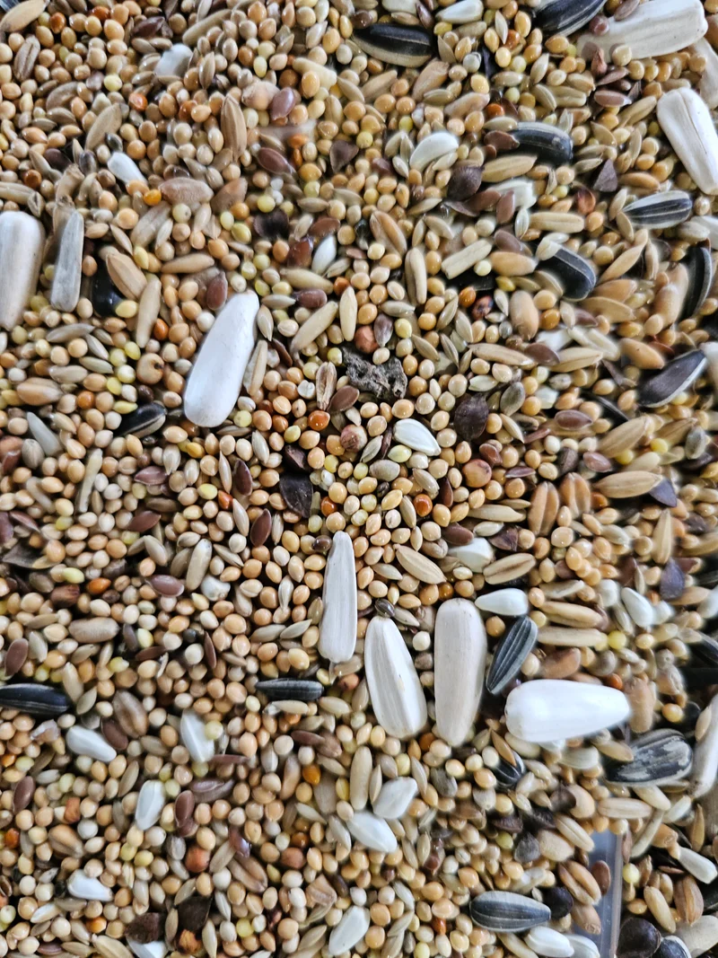 Mix Para Periquito Grande Bird-X 5kg