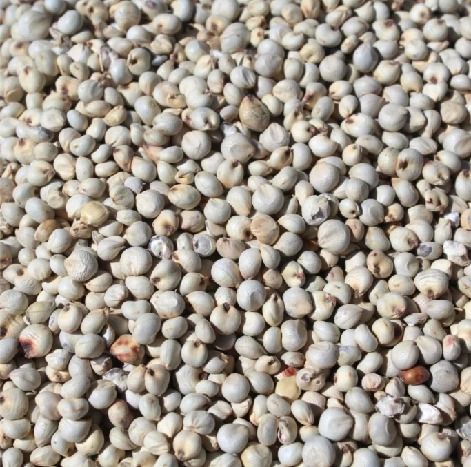 Darí Blanco 1kg