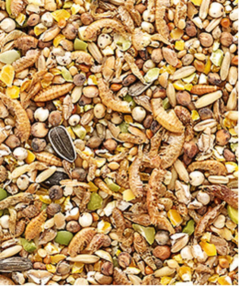 Country's Best Snack Garden Mix 1 kg - Alimento para pollo
